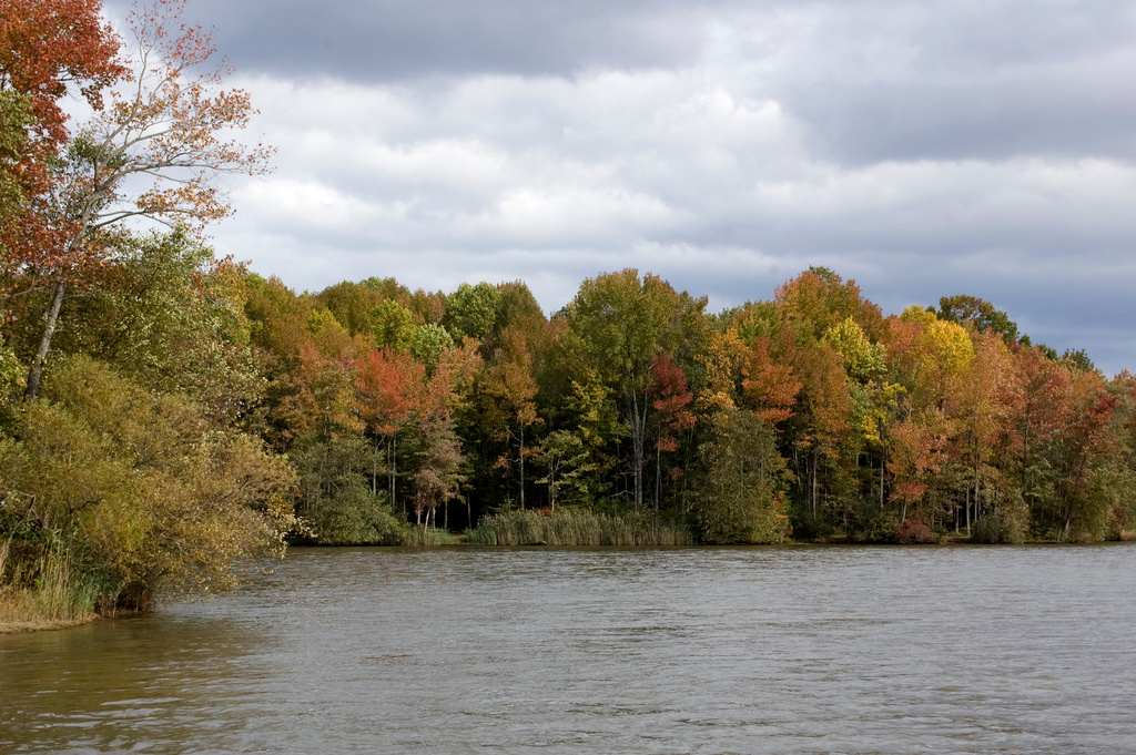 Lums Pond Campground