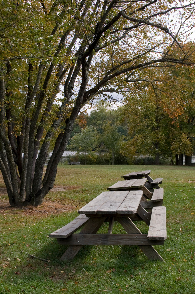 Lums Pond Campground