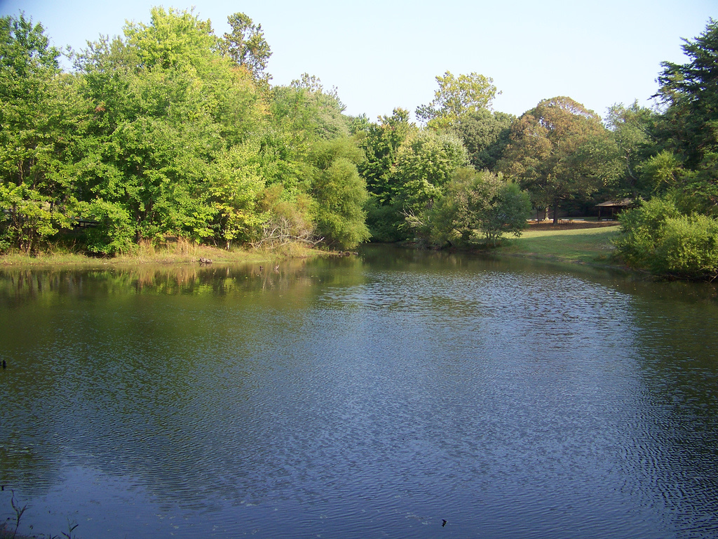 Calvert Cliffs State Park