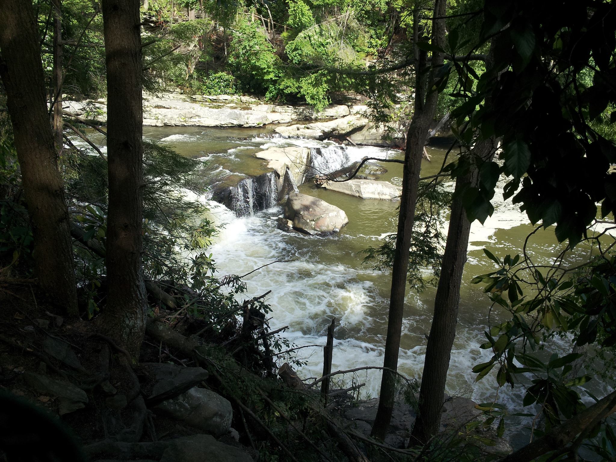 Herrington Manor State Park