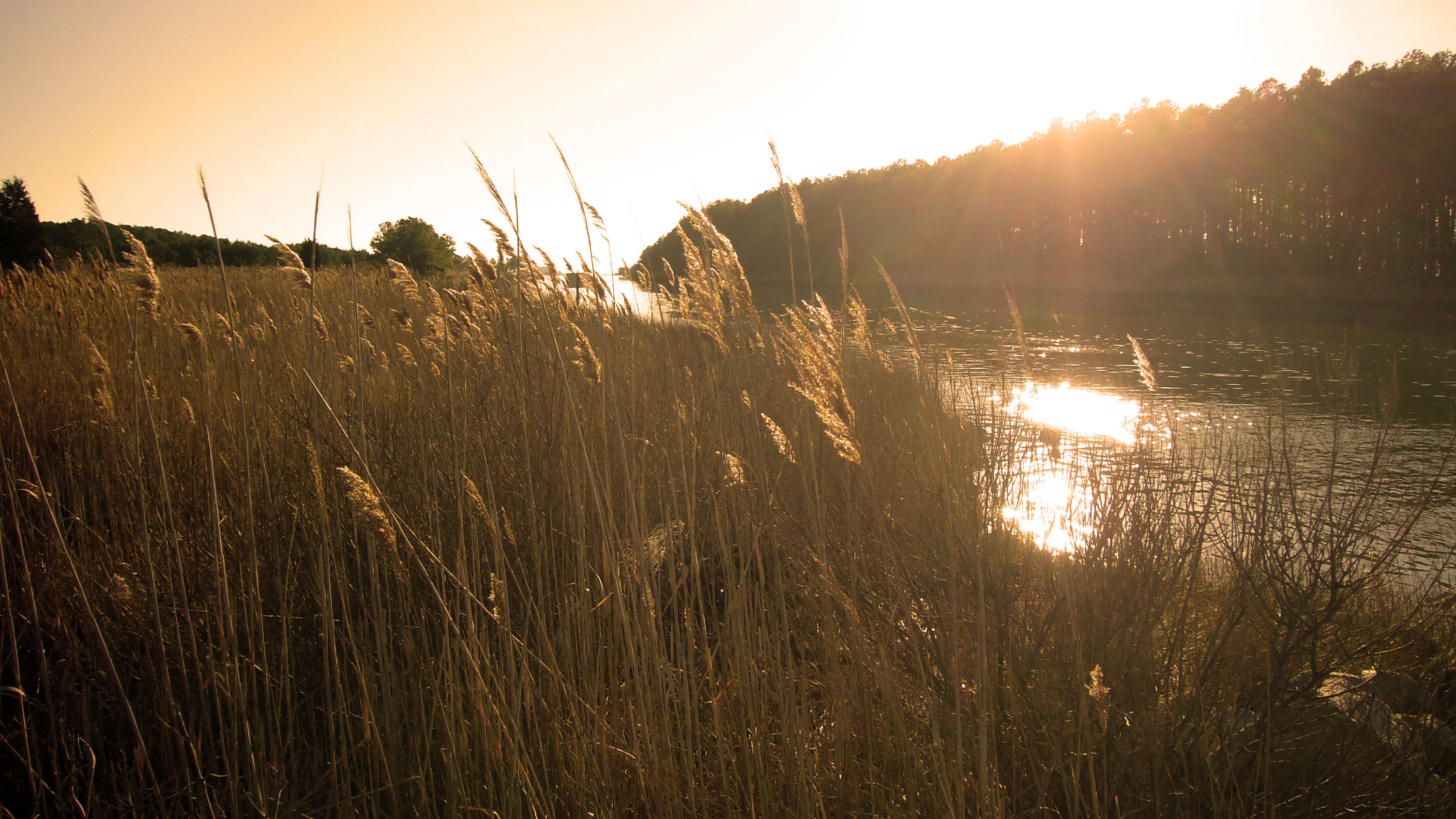 Janes Island Campground