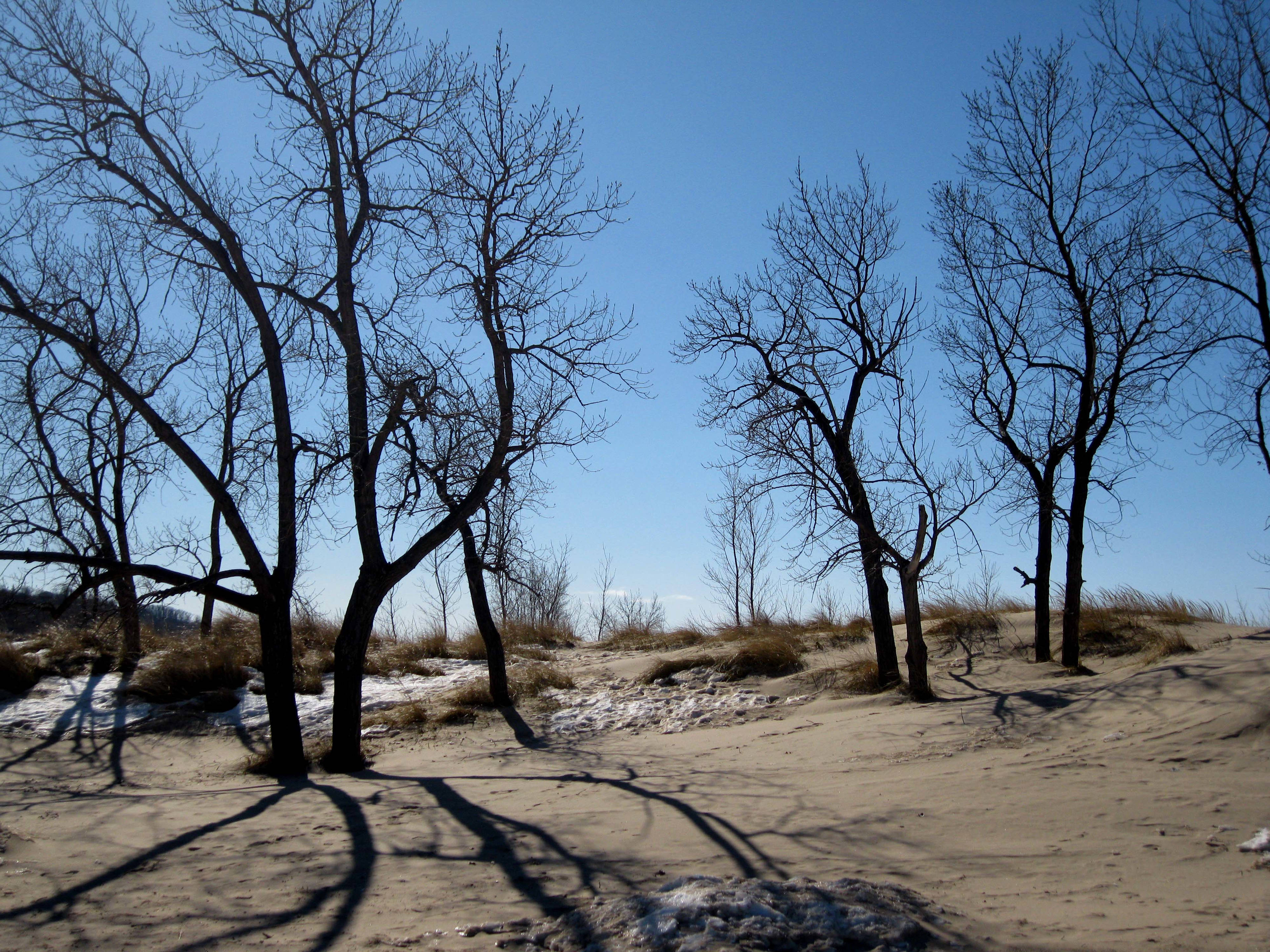 Holland State Park