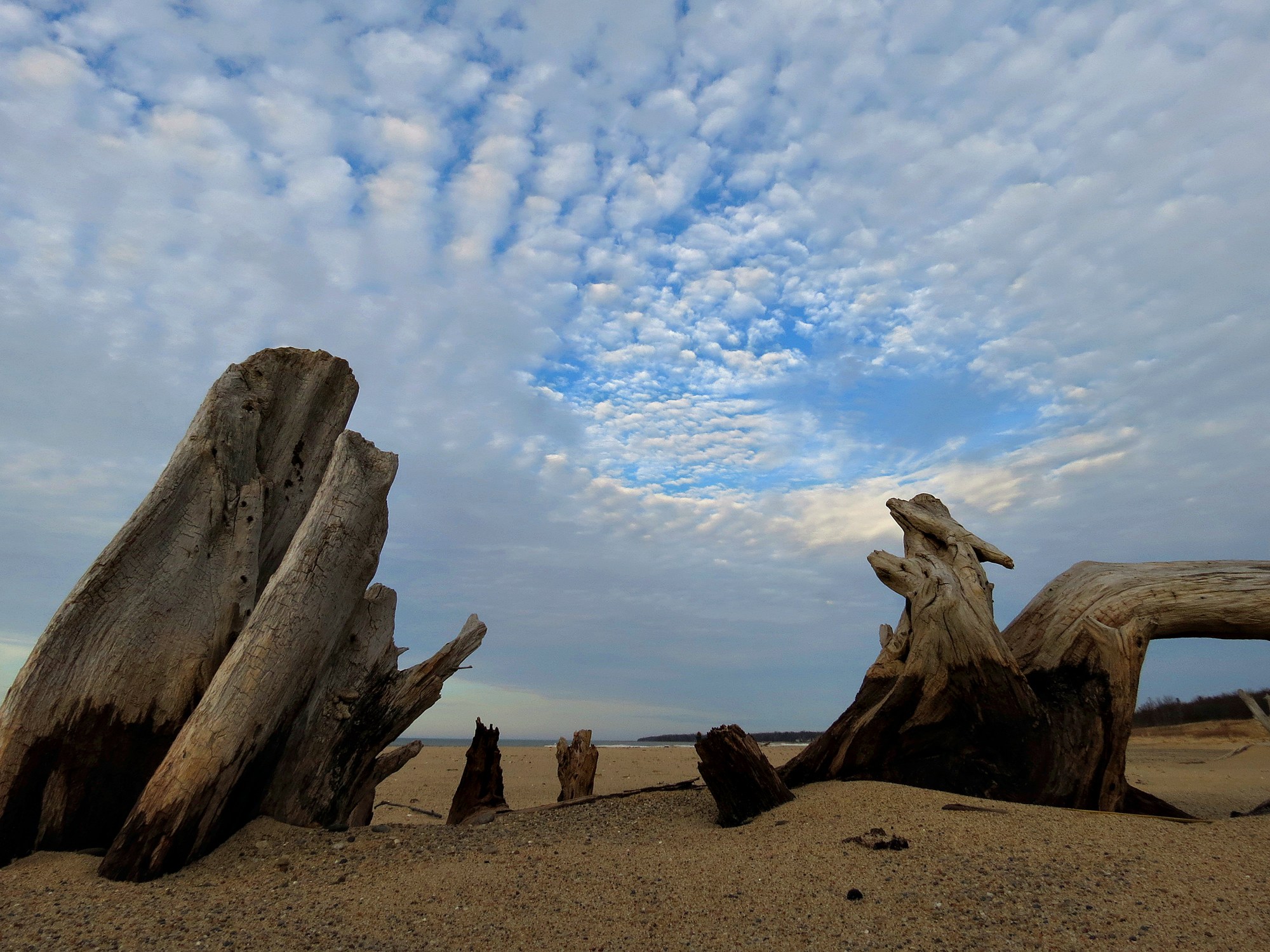 Port Crescent Campground