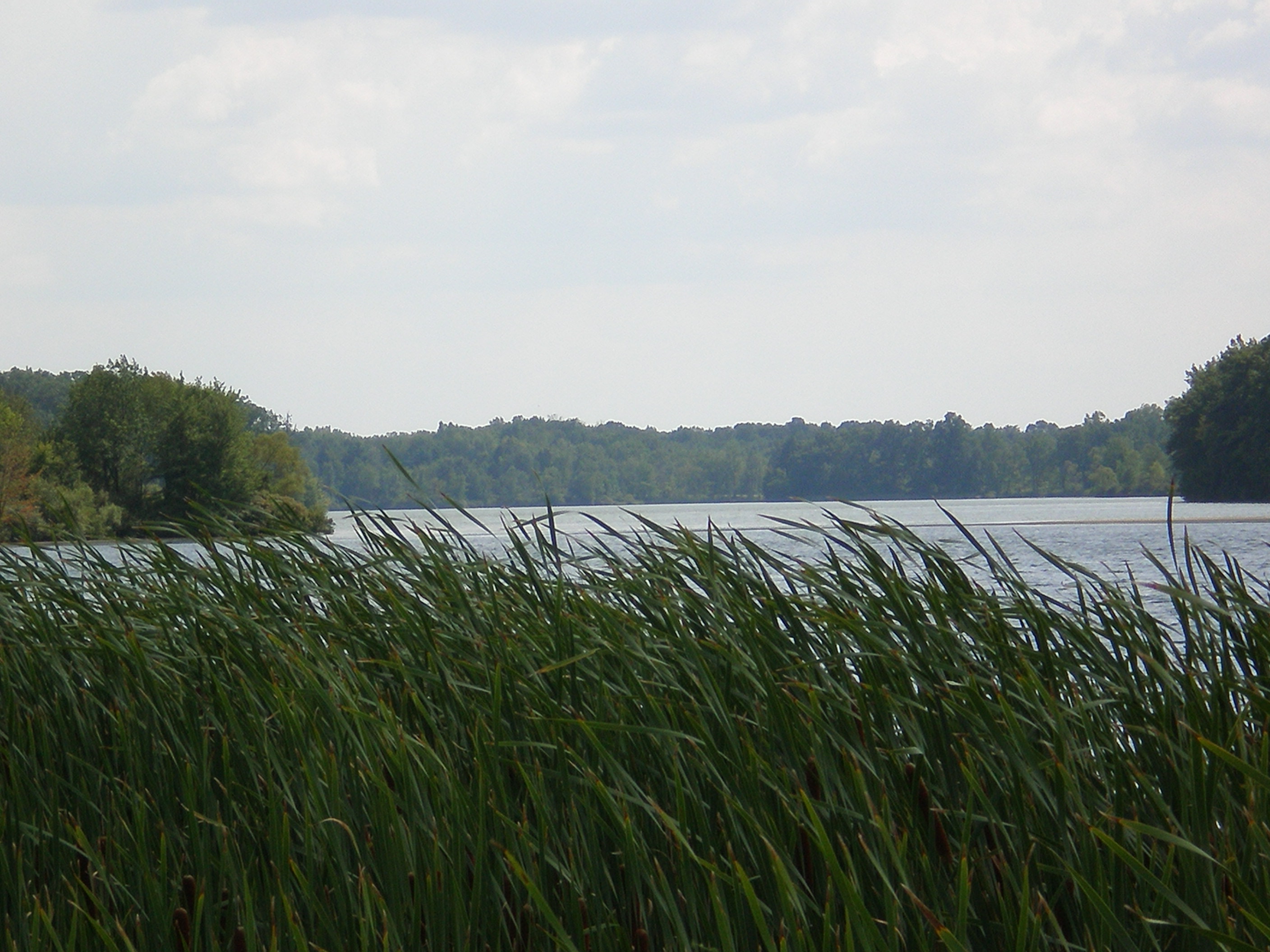 Sleepy Hollow State Park