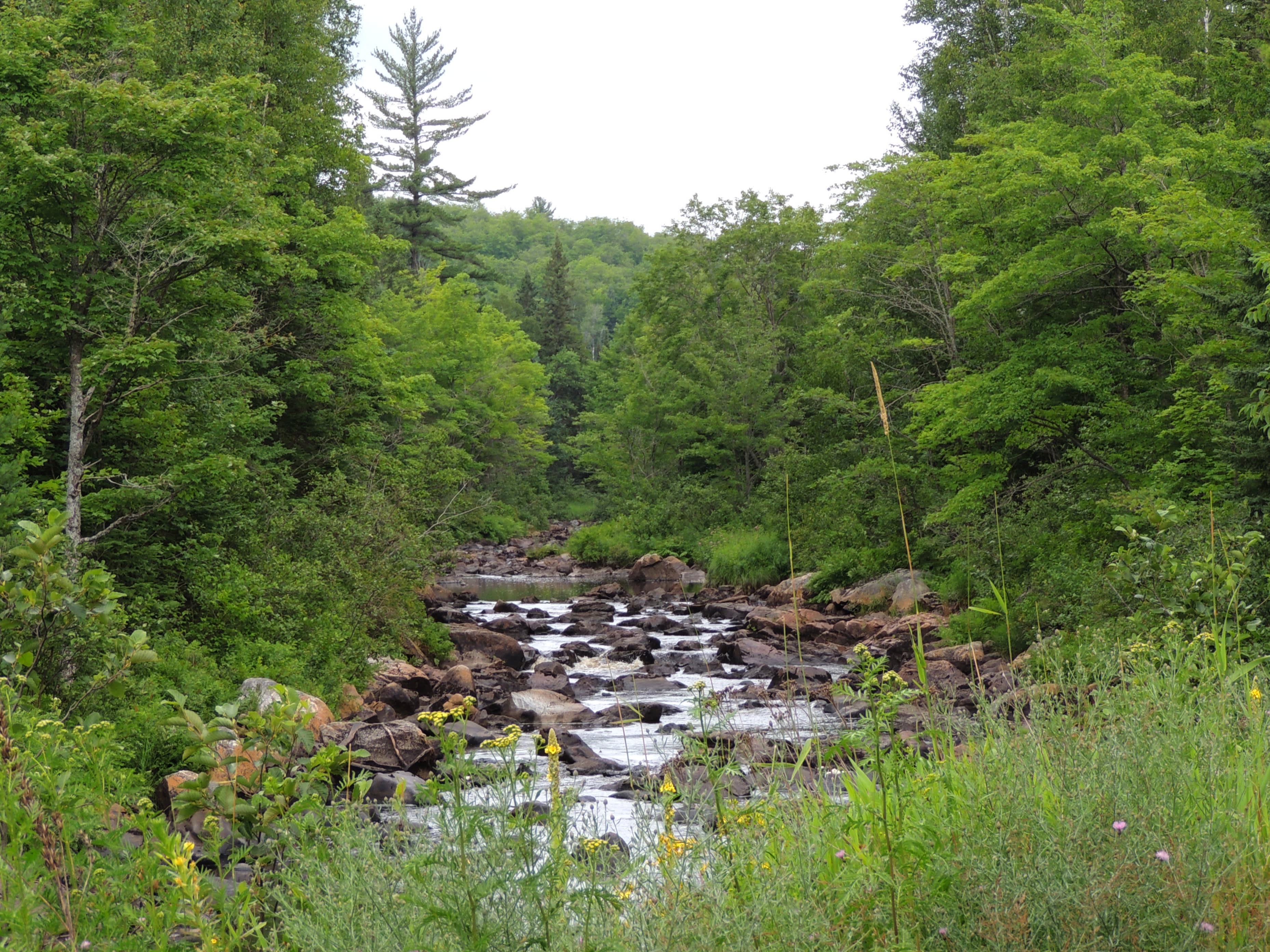 Van Riper Campground