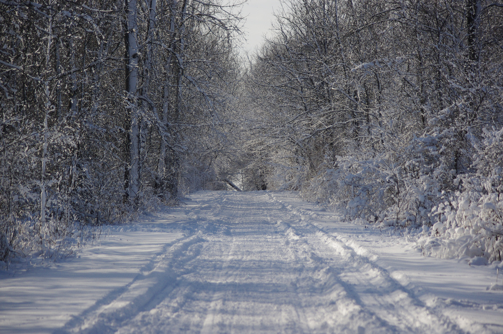 Alum Creek State Park