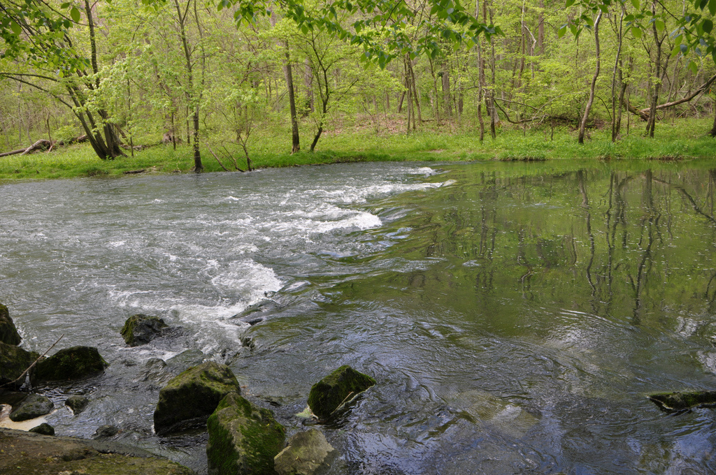 Caesar Creek Campground