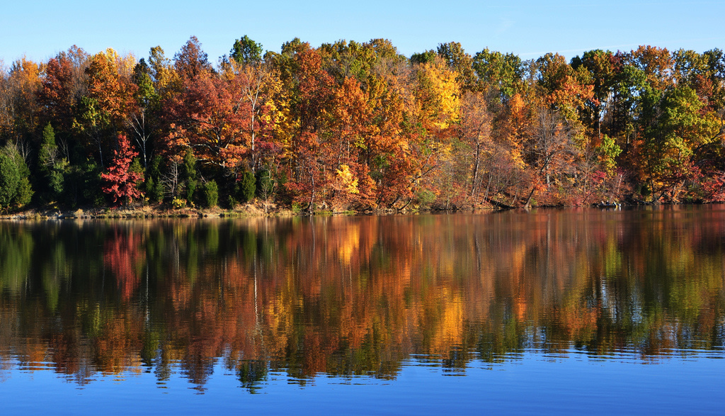 Cowan Lake Campground