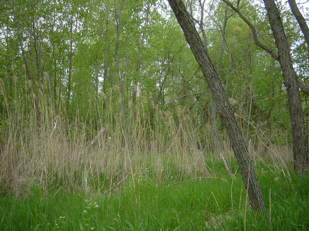 East Harbor State Park