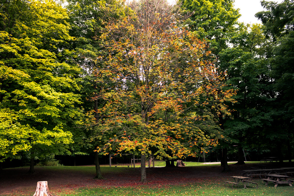 Great Seal Campground