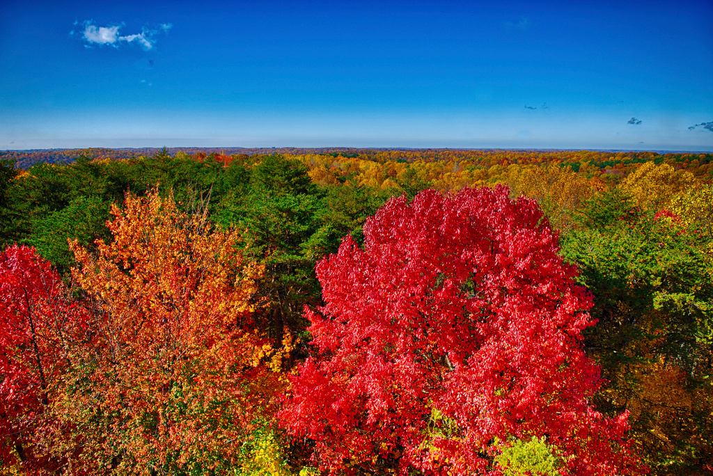 Hocking Hills State Park