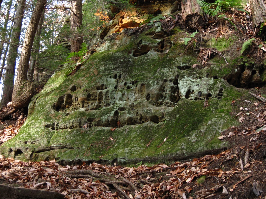 Hocking State Forest