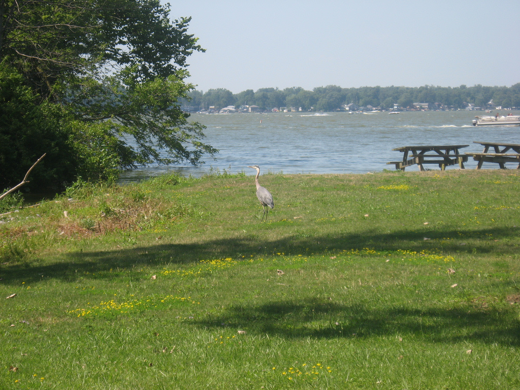 Indian Lake State Park OH