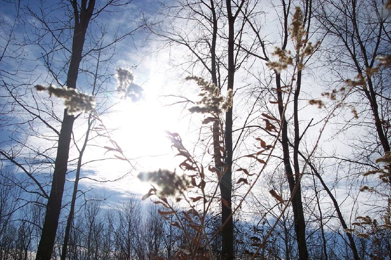 Maumee Bay State Park