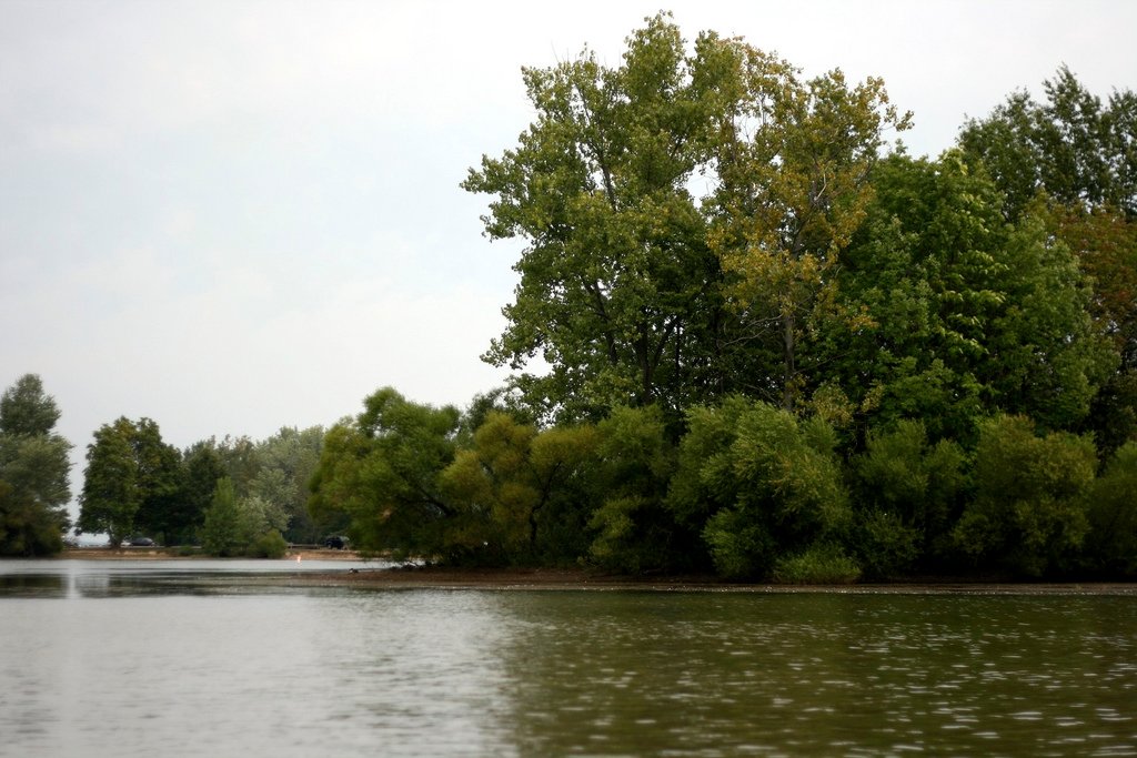 Mosquito Lake Campground