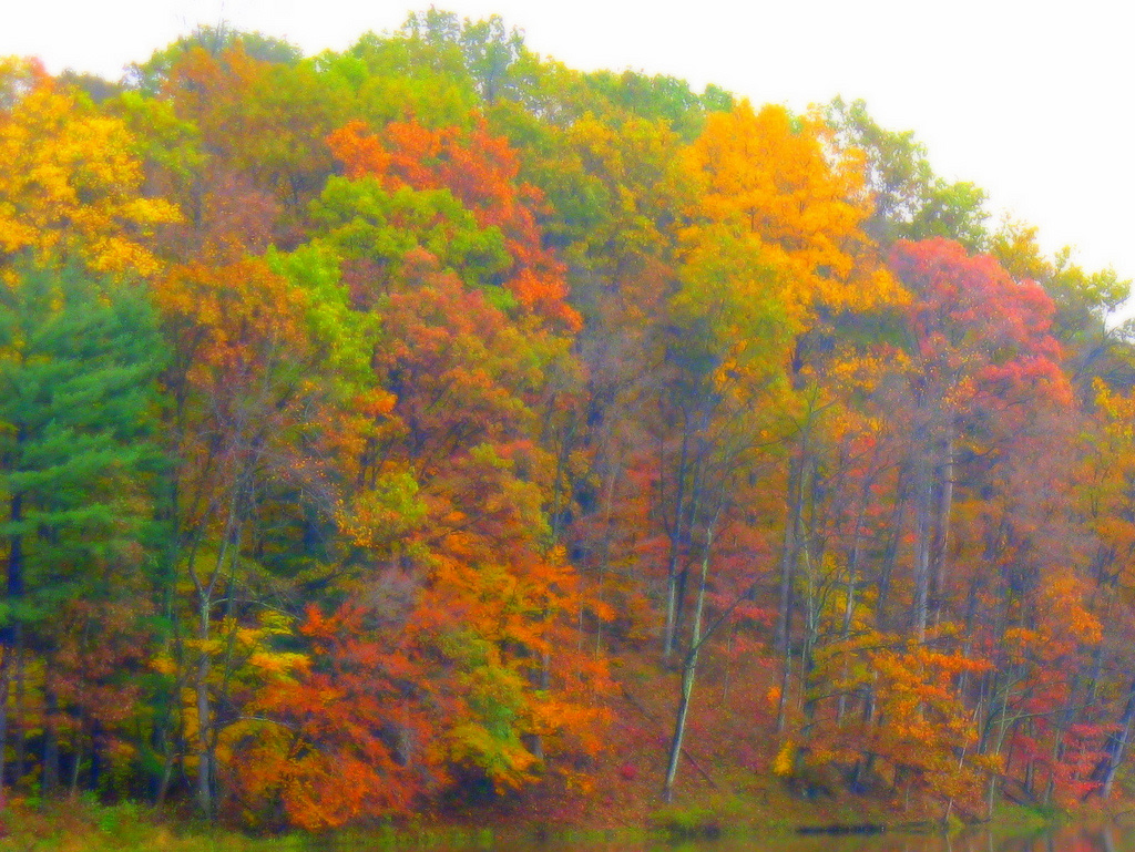 Mt. Gilead State Park