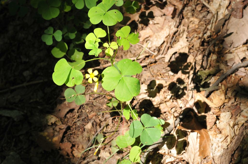 Pike Lake State Park