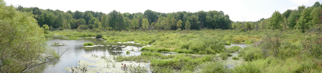 Pymatuning State Park OH