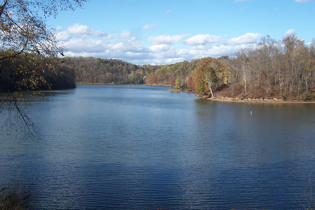 Salt Fork Campground