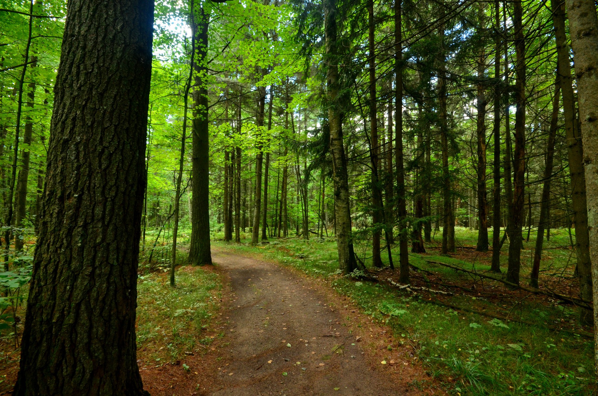 Council Grounds State Park