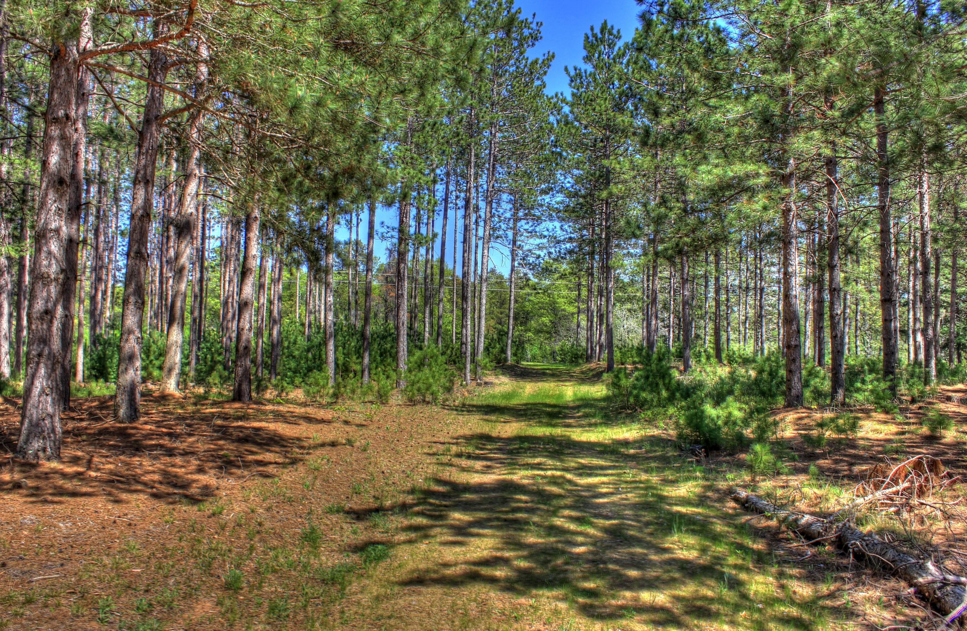 Governor Thompson State Park