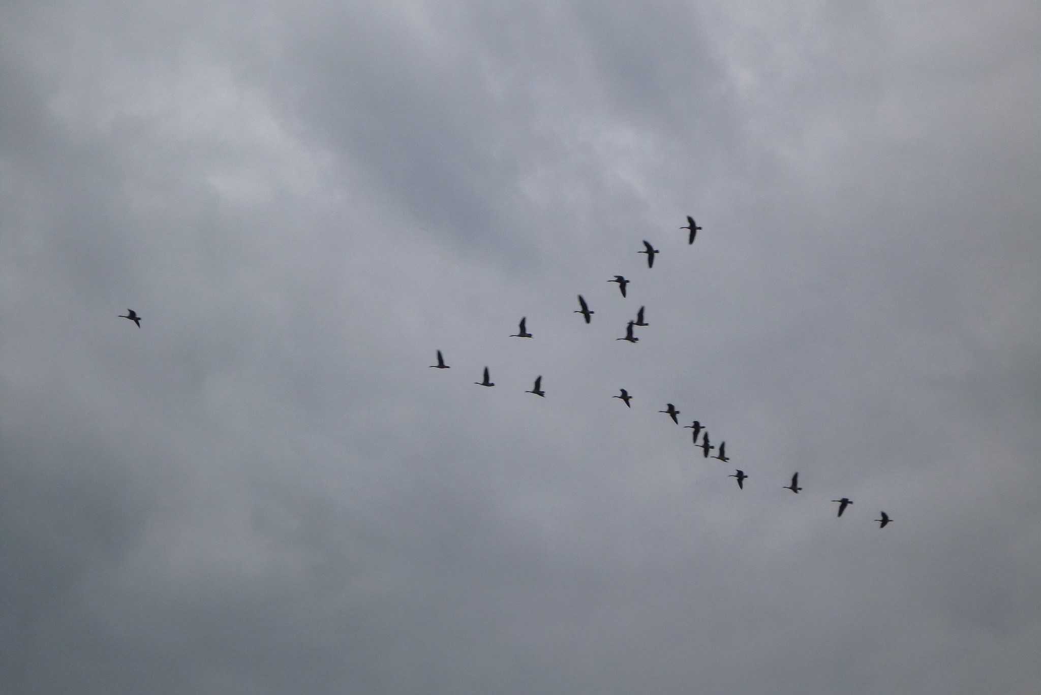Harrington Beach State Park
