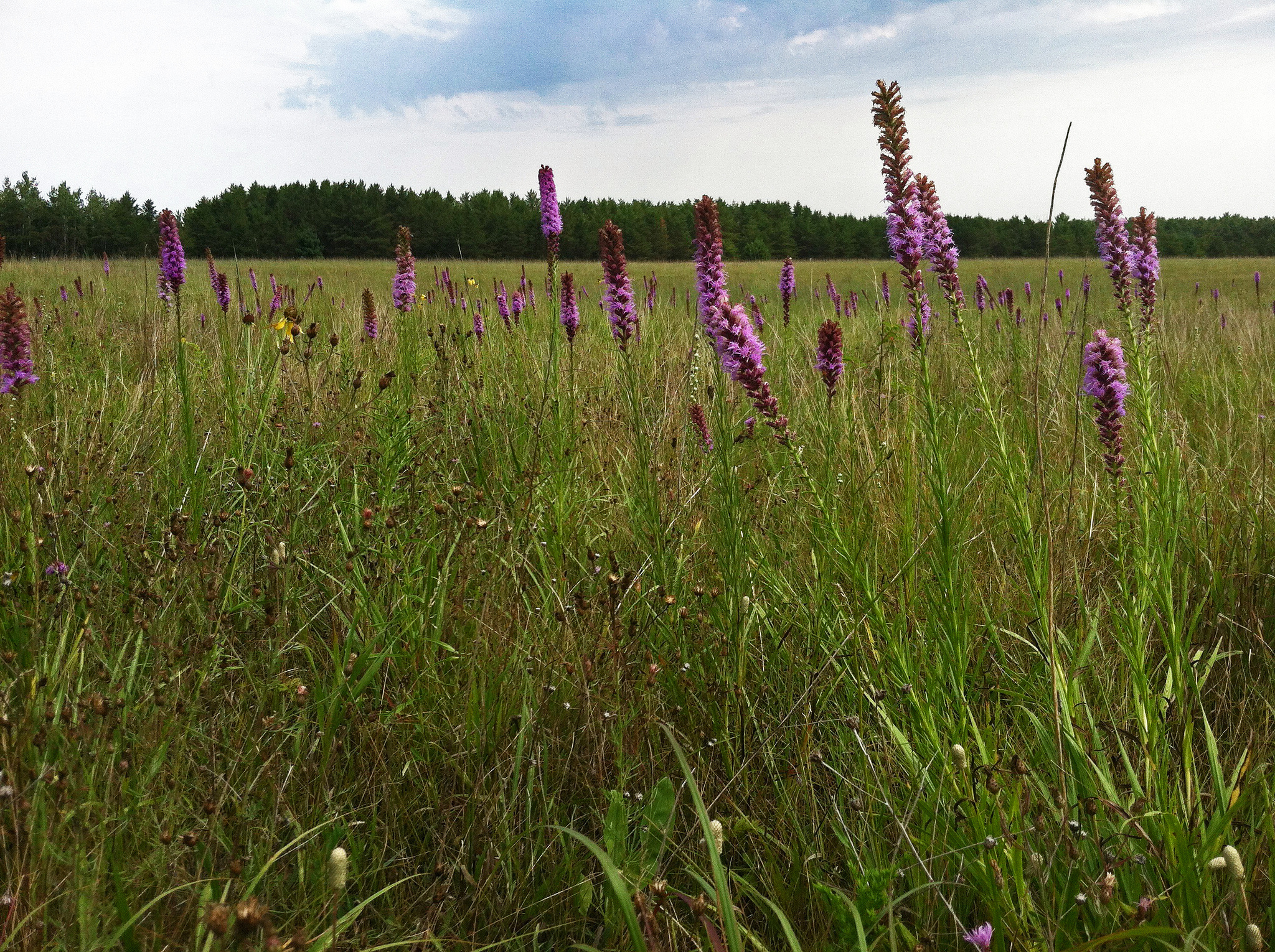Lake Wissota State Park