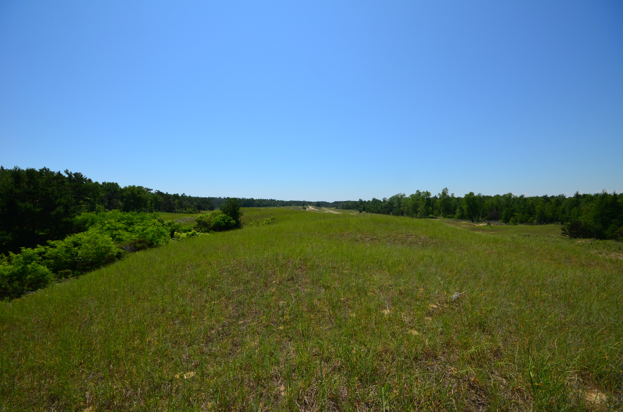 Point Beach State Forest