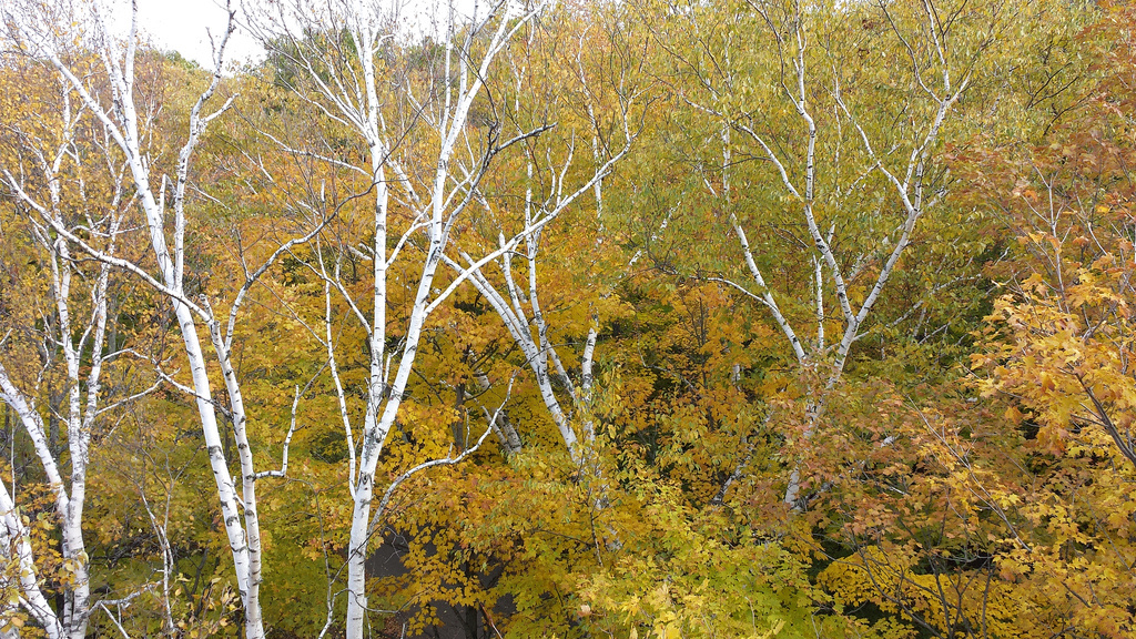 Potawatomi State Park