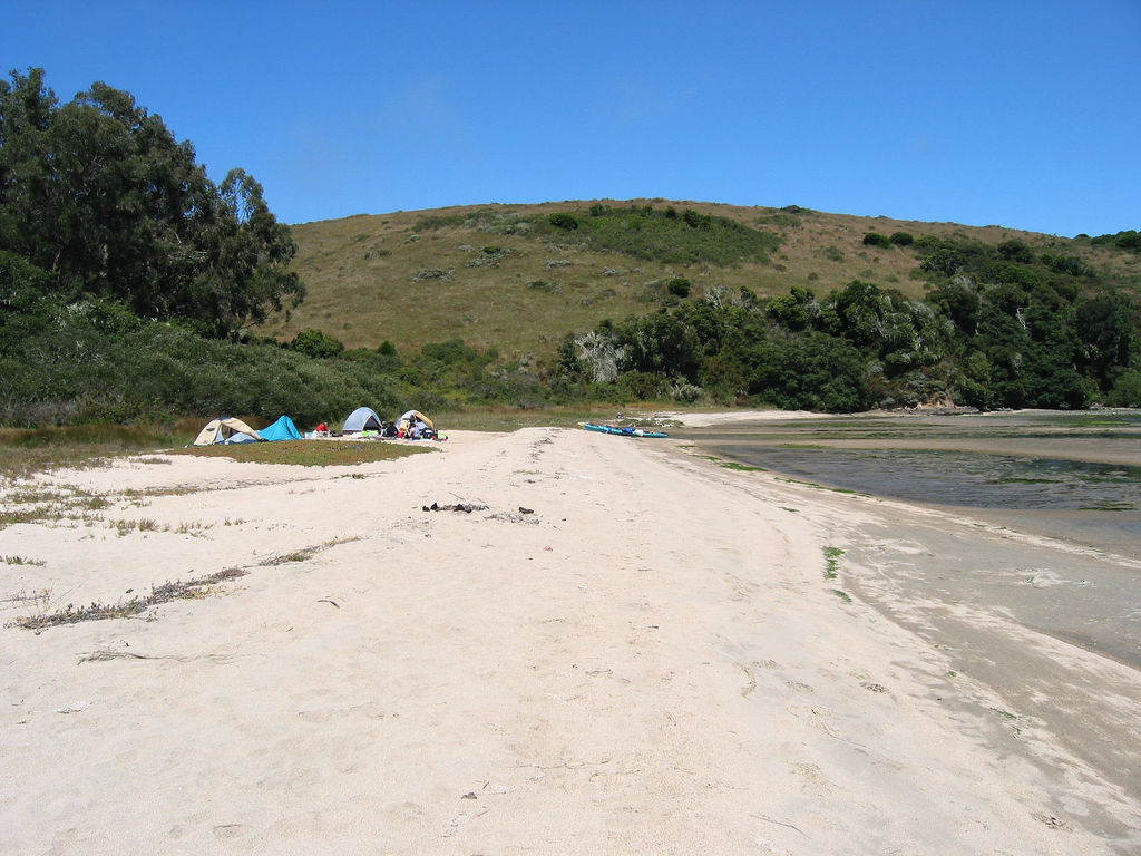 Tomales Bay Campground