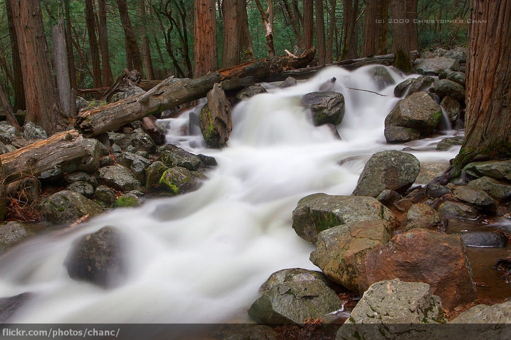 Bridalveil Creek Group and Horse Campground