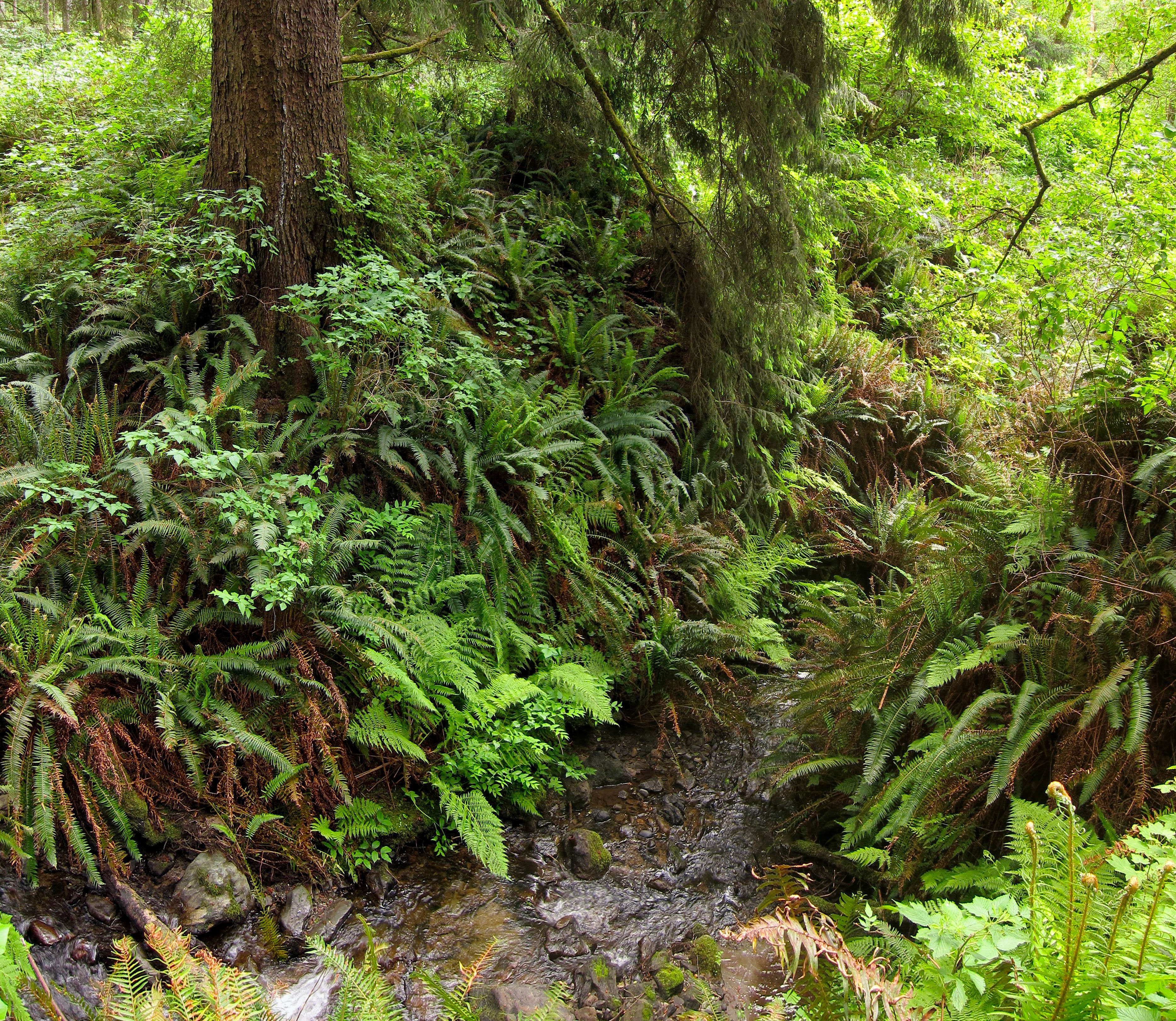 Penn Creek Campground