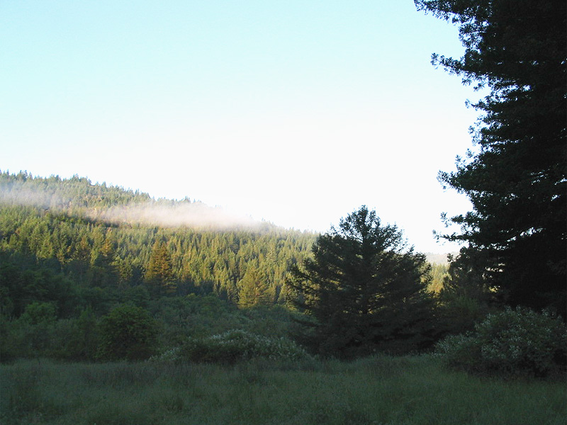 Albee Creek Campground