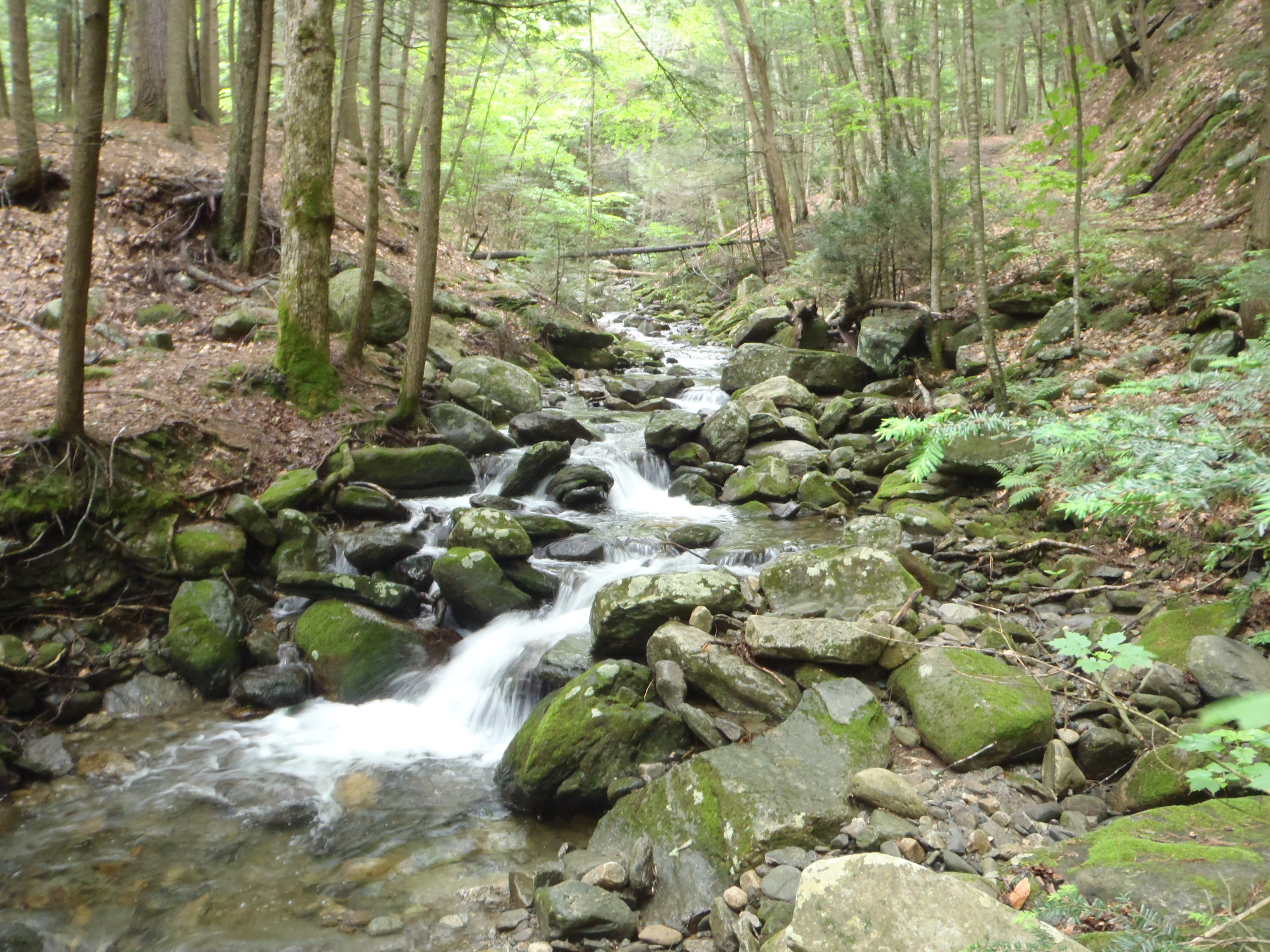 Townshend State Park