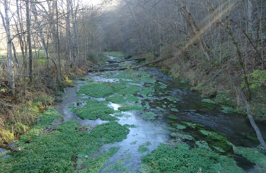 Beaver Creek Valley Campground