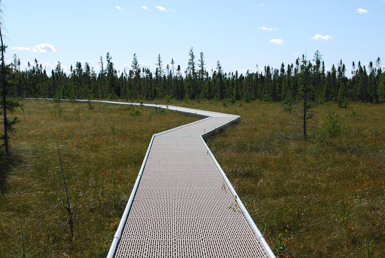 Big Bog State Recreation Area