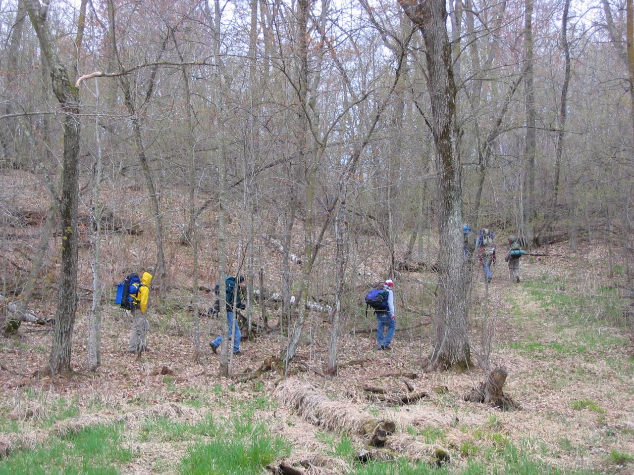 Birch Lakes State Forest