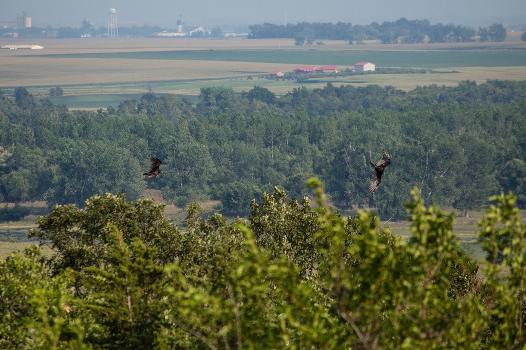 Blue Mounds Campground