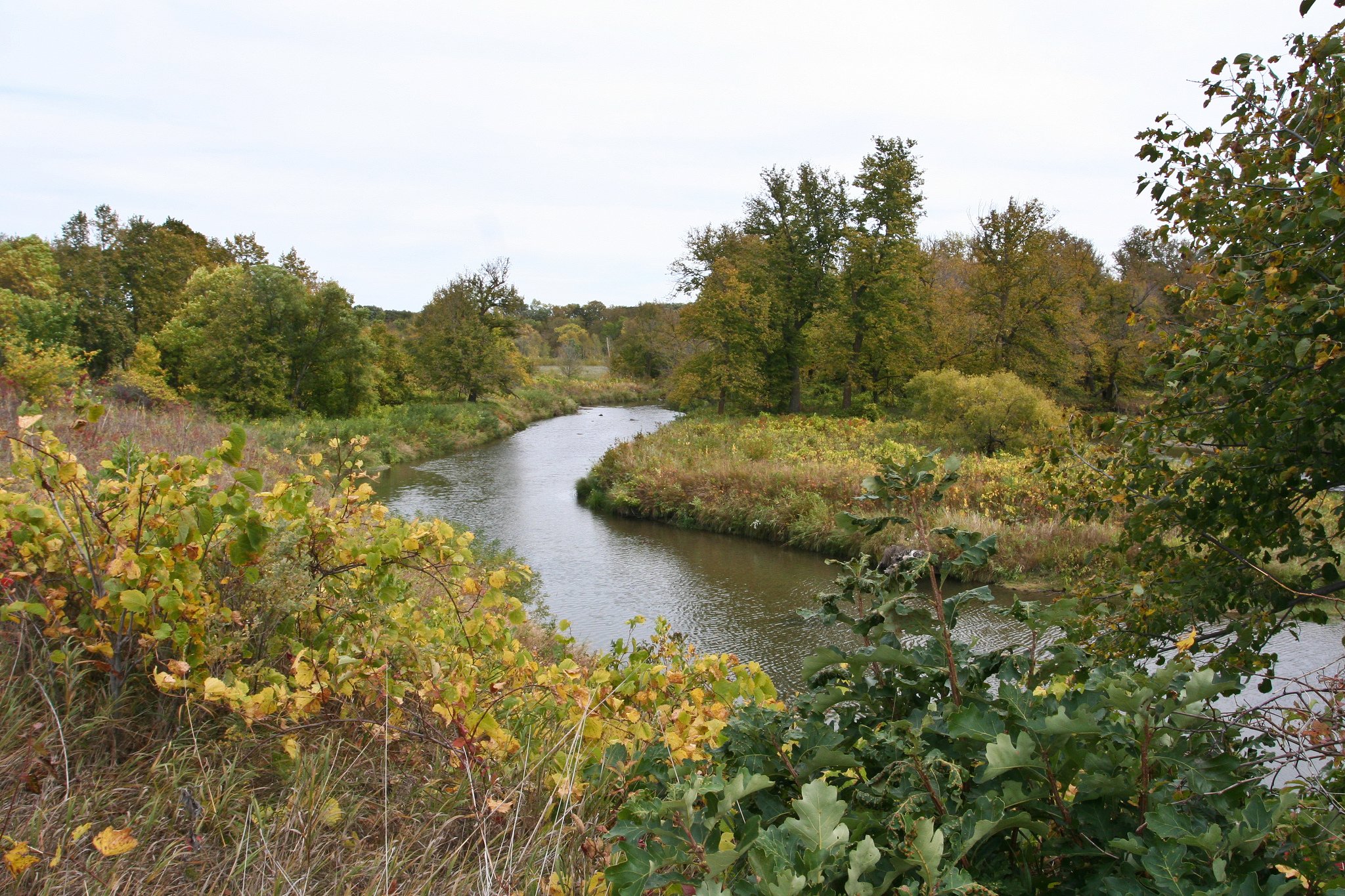 Buffalo River Campground