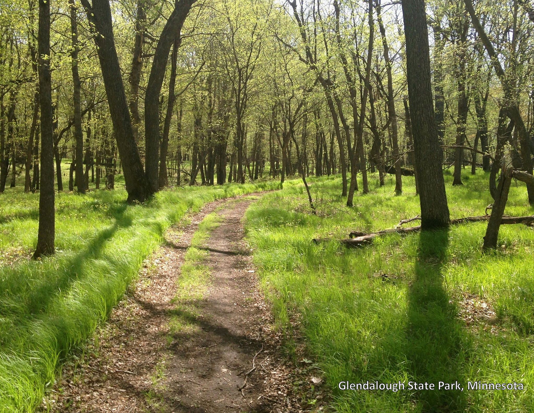 Glendalough Campground