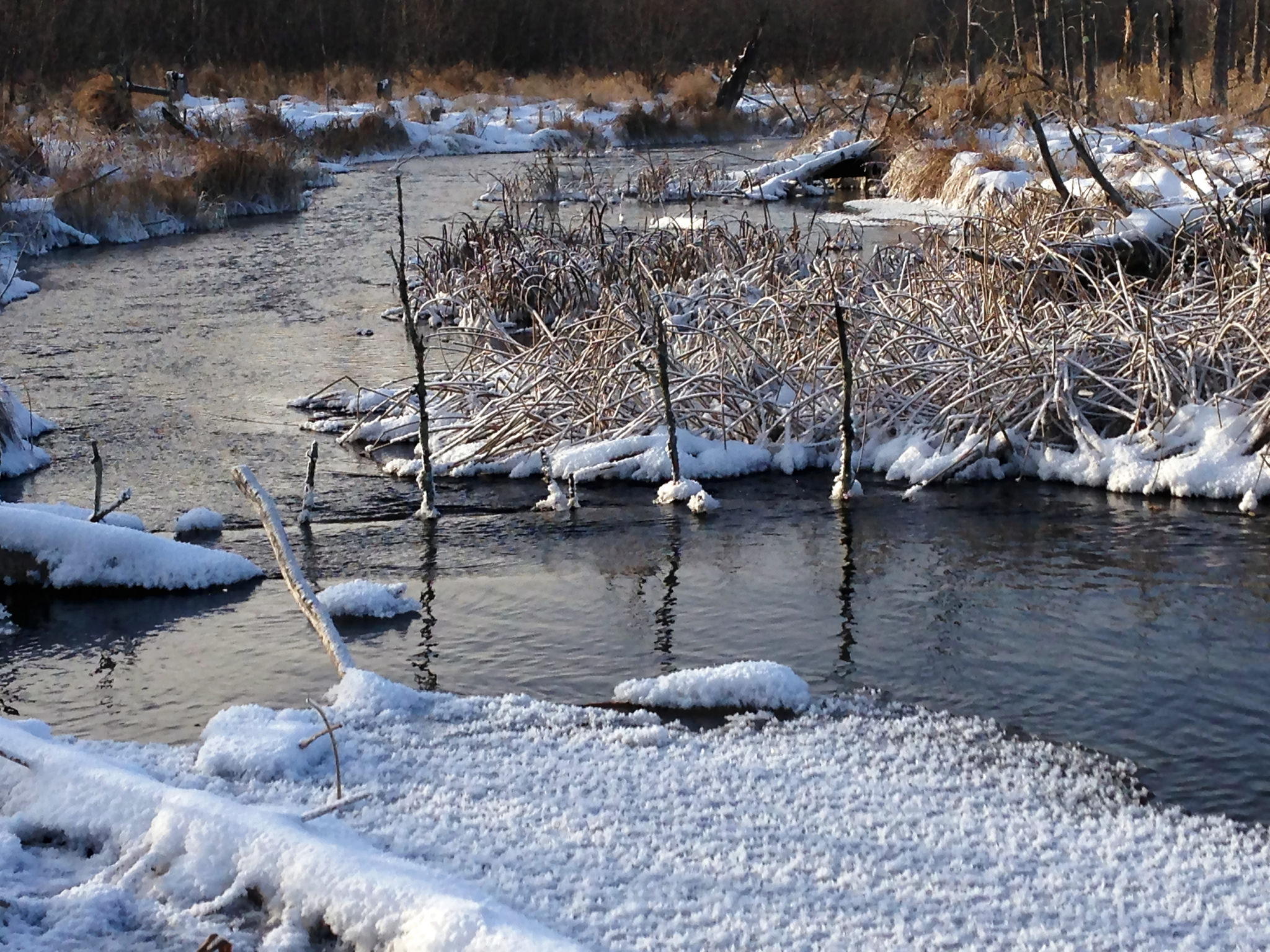 La Salle Lake State Recreation Area