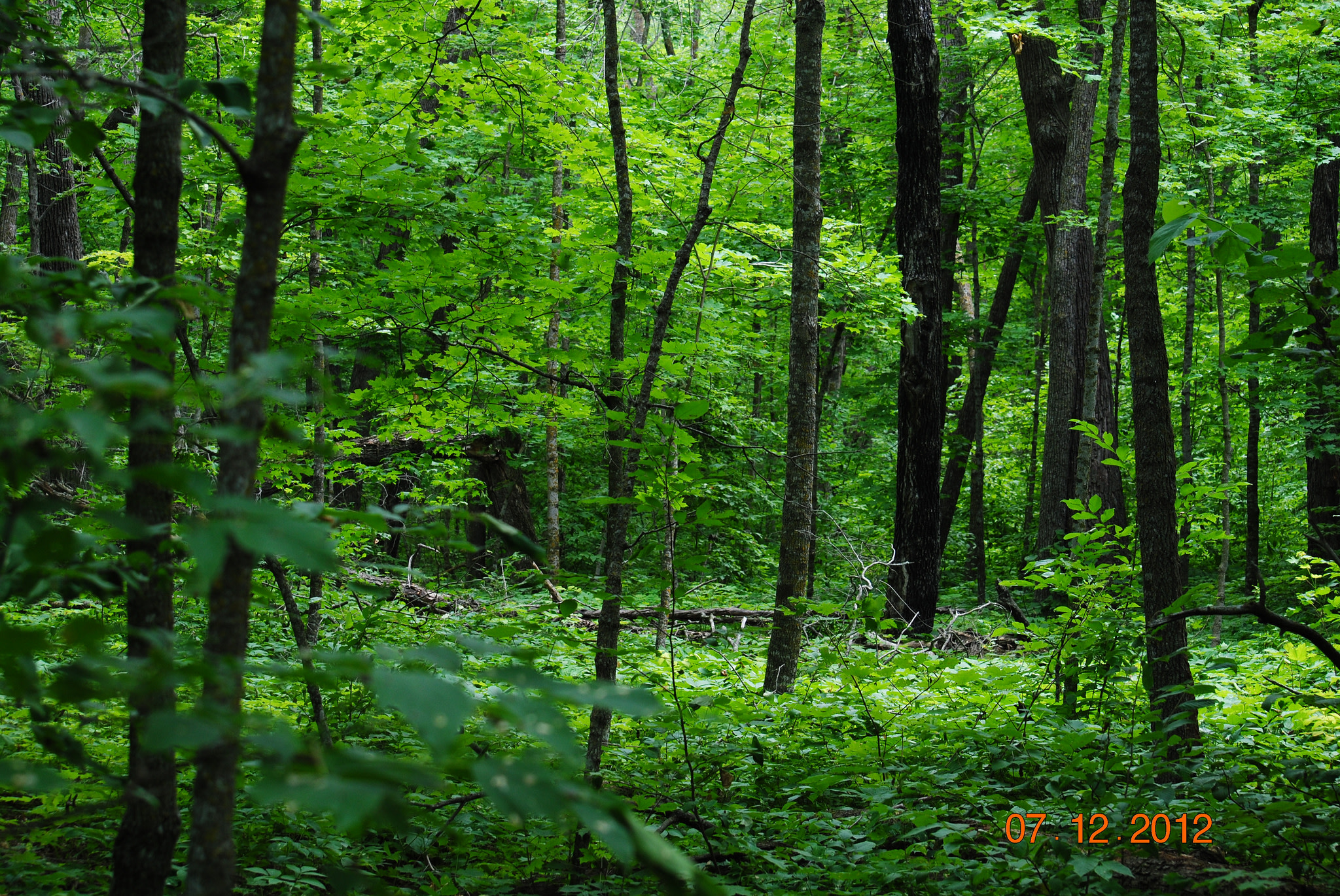 Lake Bemidji State Park