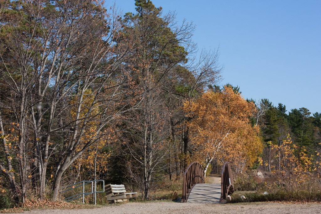 Lake Bemidji State Park