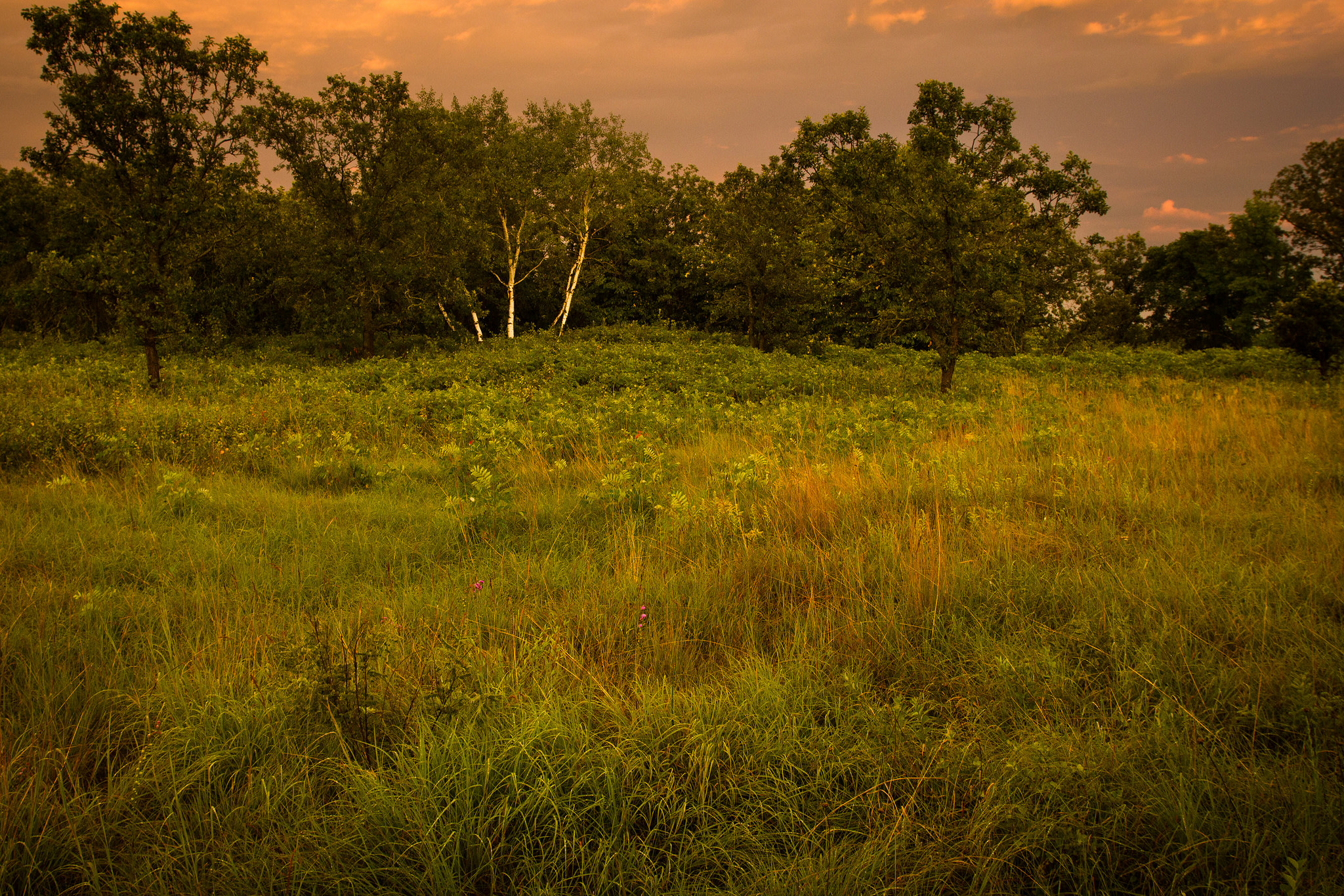Lake Bronson State Park