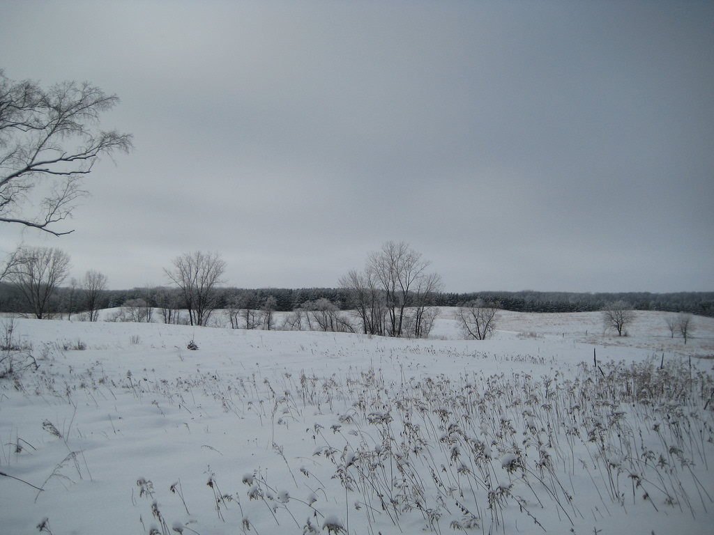 Lake Carlos State Park
