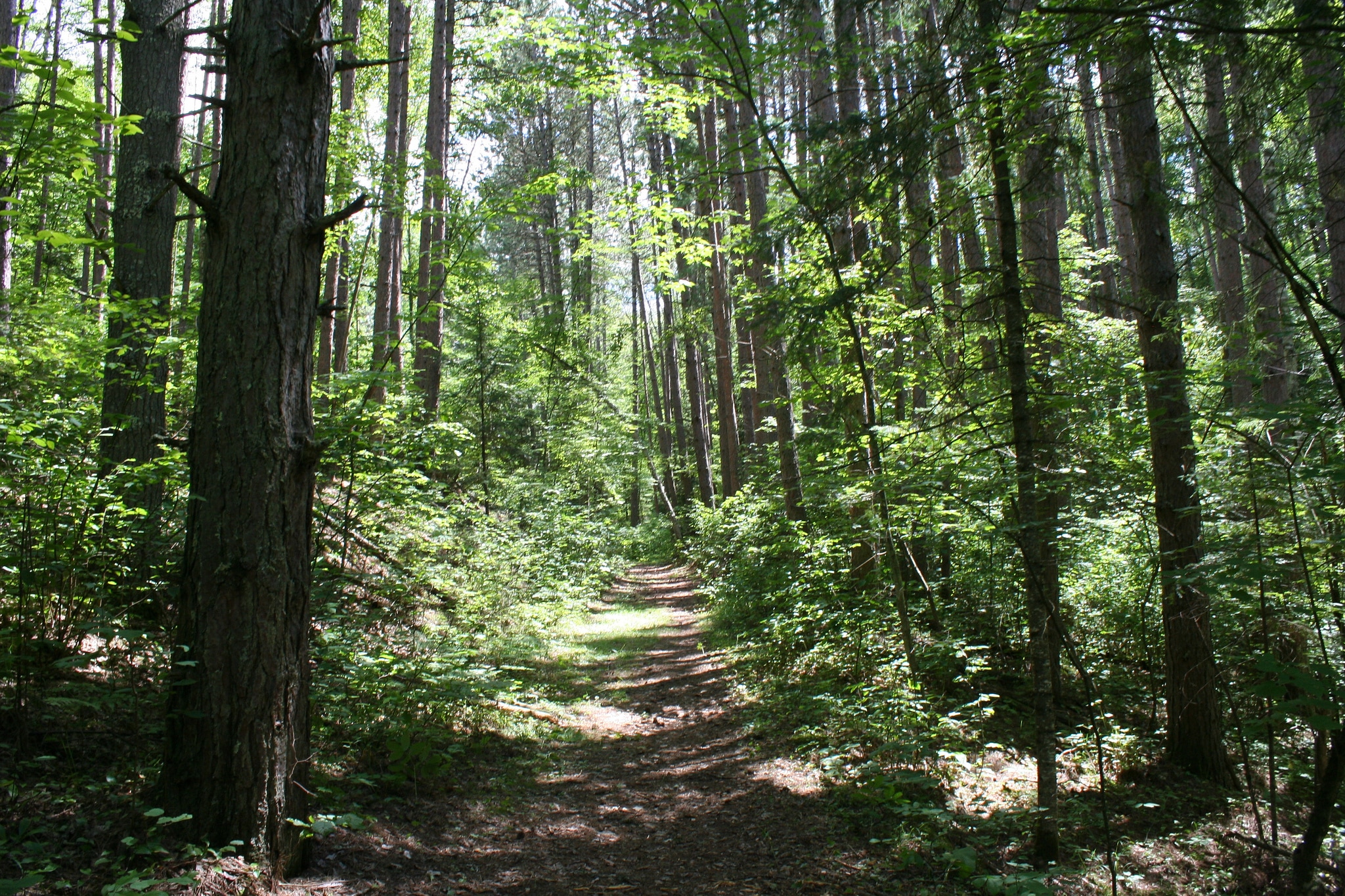 McCarthy Beach State Park