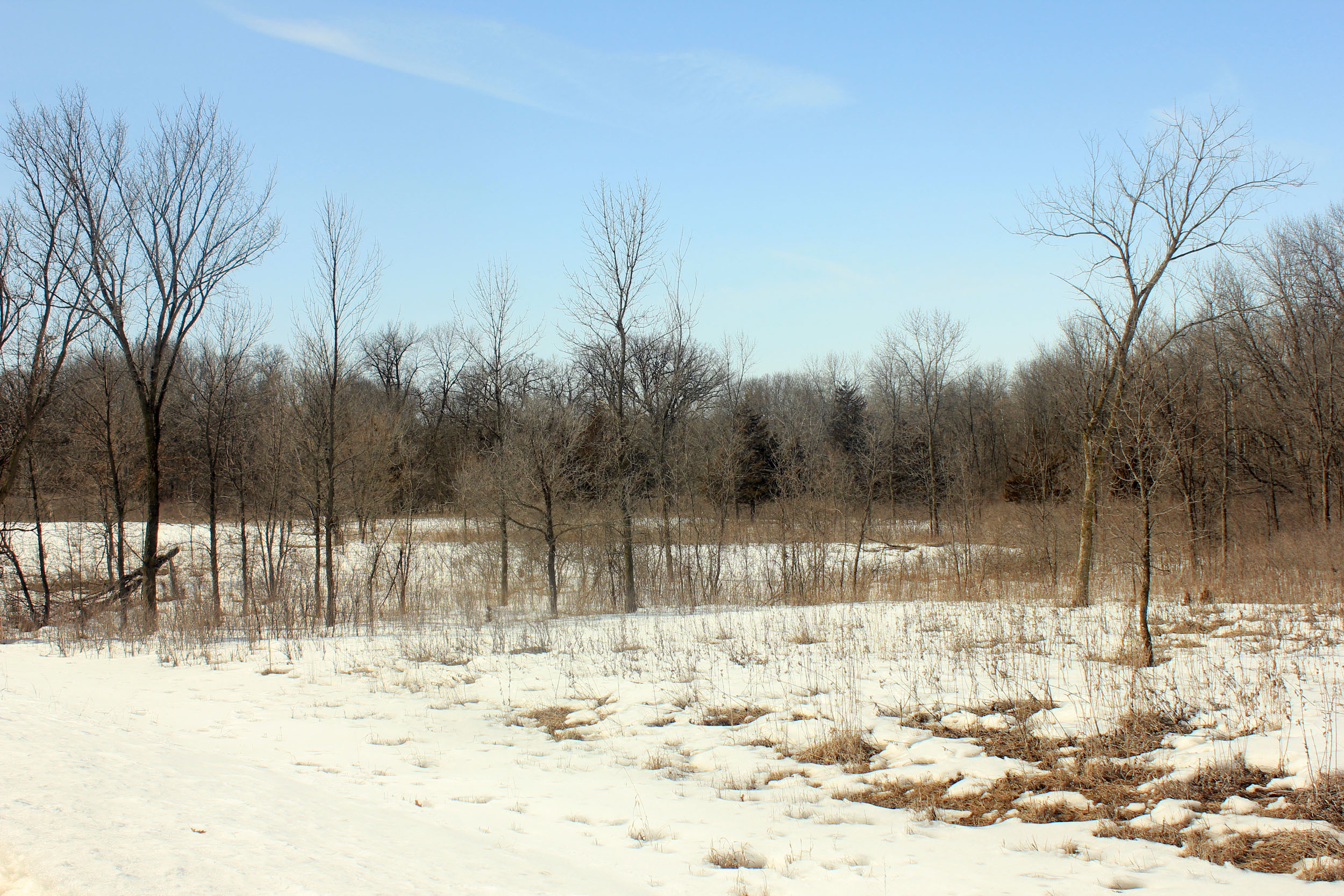 Equestrian Campground