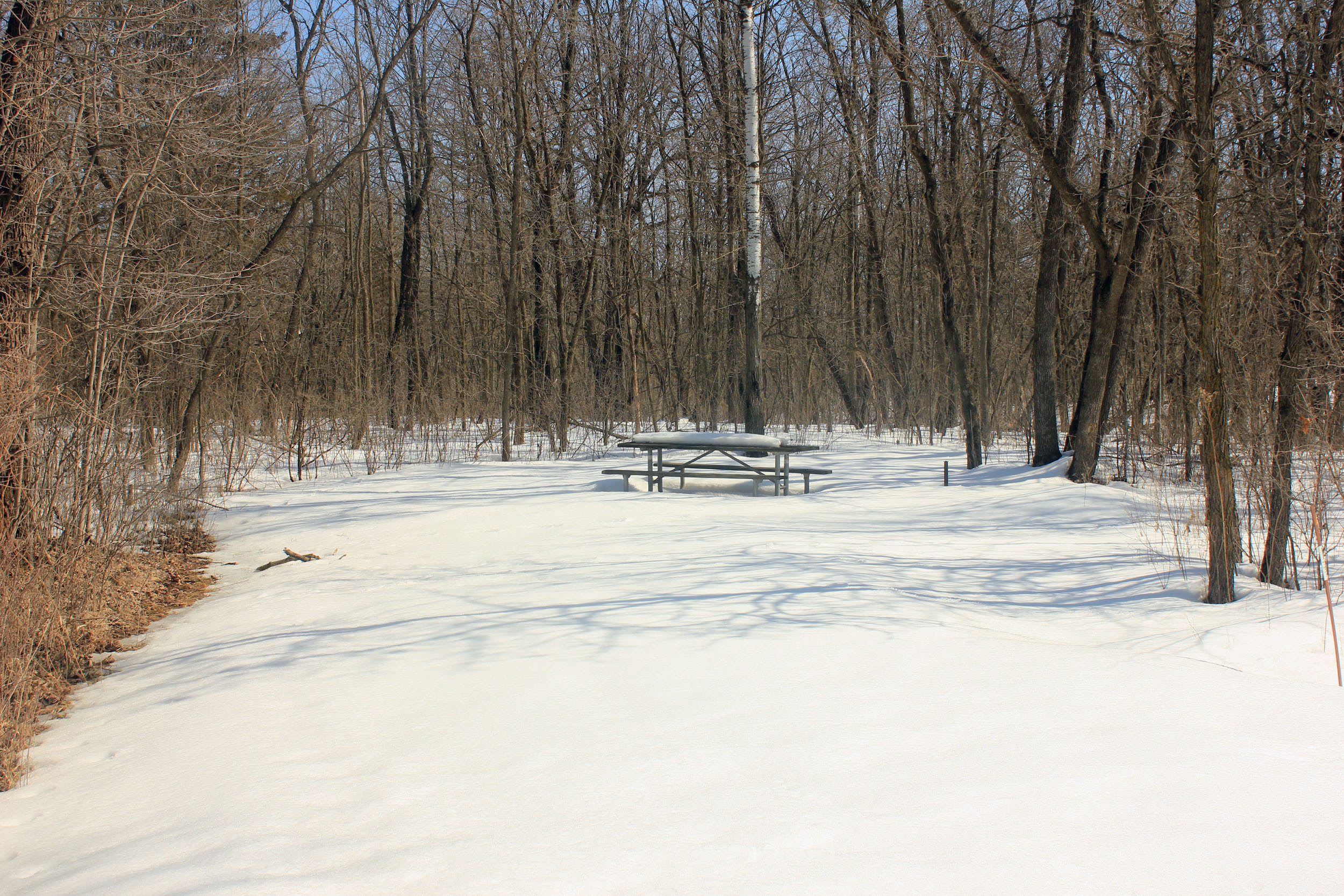 Equestrian Campground