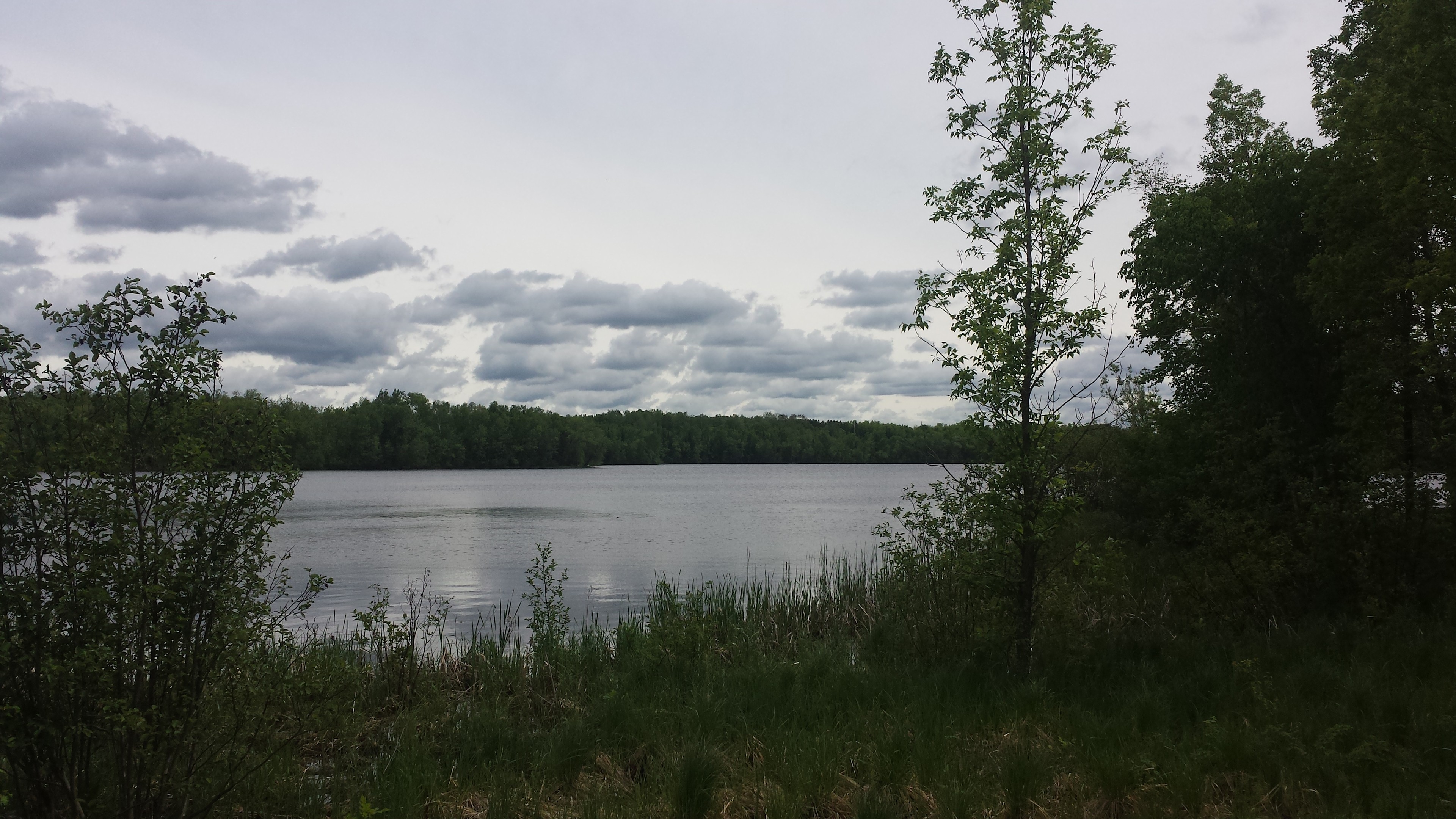 Moose Lake Campground