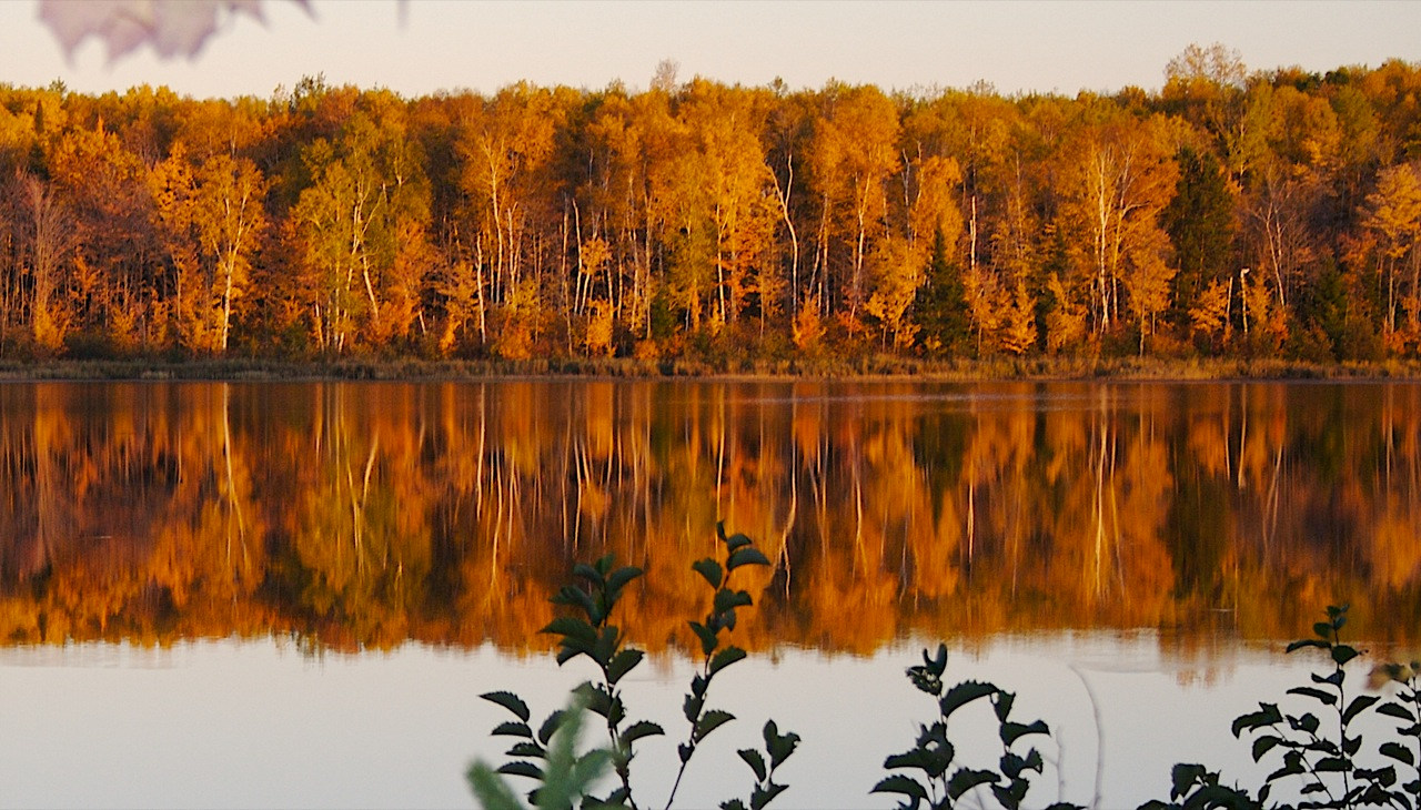 Nemadji State Forest